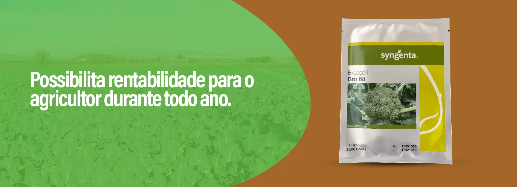 Brócolis Bro 68 Syngenta