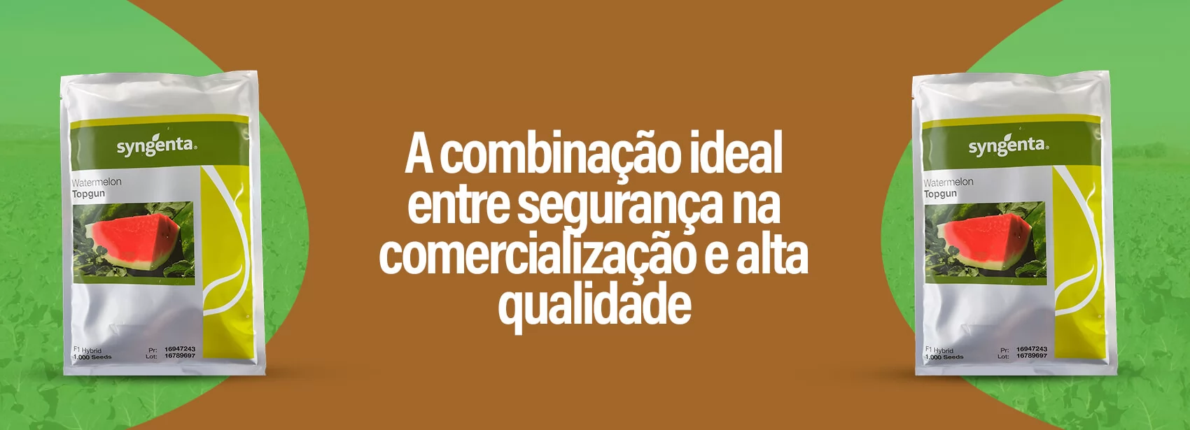 Melancia Topgun Syngenta