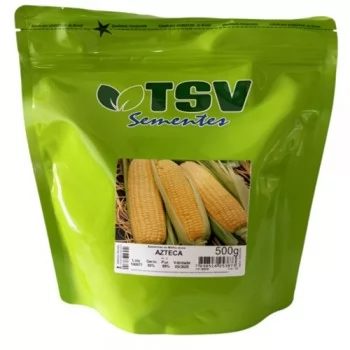 xx_milho-azteca1111-bc185f0b5120da258465b04b4d89ceb5.webp