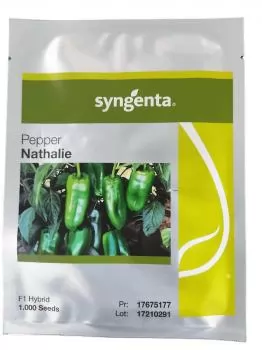 xx_pimentao-hibrido-nathalie-syngenta-1000-sementes-87e84de7f339b911e7302506a885170b.webp