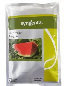xx_melancia-hibrida-topgun-syngenta-1000-sementes-c91699b54db6cc04b3713abfea67da73.webp