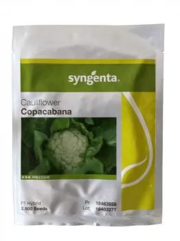 xx_couve-flor-copacabana-syngenta-2500-sementes-c33321f27dea4276ff77ed1094260451.webp