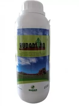 xx_fertilizante-rudan-rudamino-1lt-ab6ad164c630ad707ad84ec6b63d5e70.webp