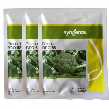 xx_brocolis-hibrido-bro-68-syngenta-kit-7500-sementes-d4b19729fc7d8531d376685a2e01f80f.webp