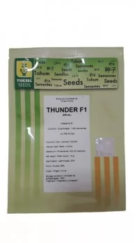 xx_tomate-hibrido-thunder-f1-arual-1000-sementes-ef2e3d7bf41acf95904797cf40ab7107.webp