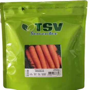 xx_cenoura-brasilia-250-gr11-5d82729305b24049c5f81be2e7a26919.webp