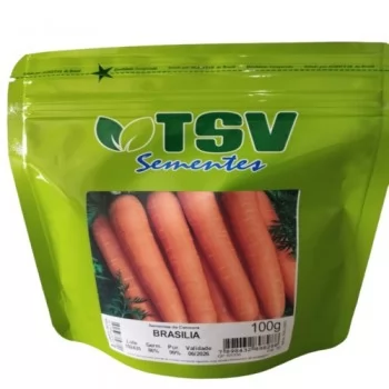 xx_cenoura-brasilia-100-gr-1-11-3e9078e65523b1b7c5af1e82c382a080.webp